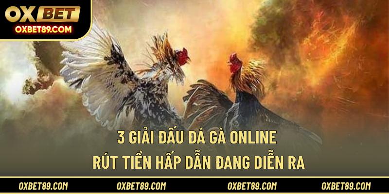 3 giải đấu đá gà online rút tiền hấp dẫn đang diễn ra