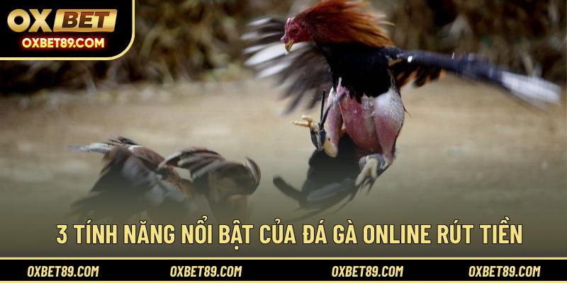 3 tính năng nổi bật của đá gà online rút tiền