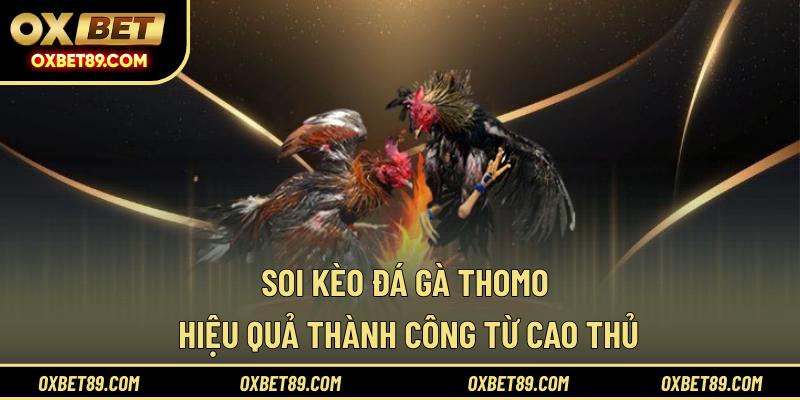 Soi kèo đá gà Thomo