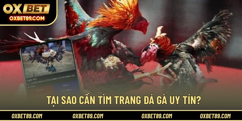 Tại sao cần tìm trang đá gà uy tín?