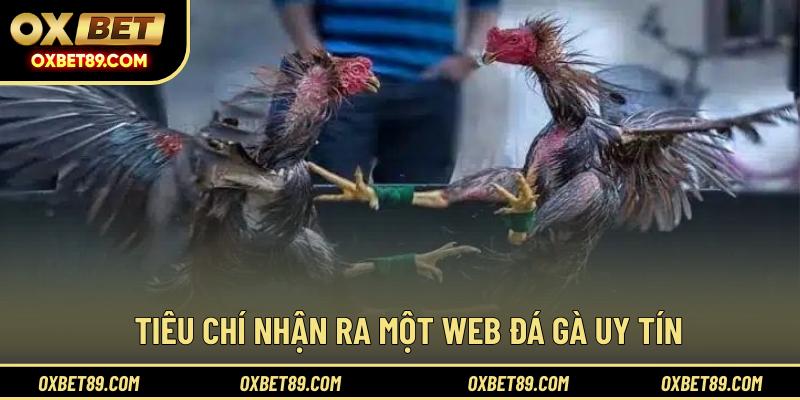 Tiêu chí nhận ra một web đá gà uy tín